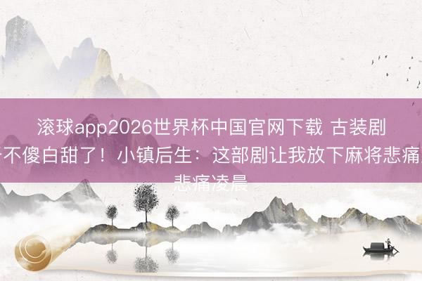 滚球app2026世界杯中国官网下载 古装剧终于不傻白甜了!小镇后生:这部剧让我放下麻将悲痛凌晨