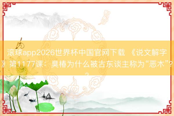 滚球app2026世界杯中国官网下载 《说文解字》第1177课:臭椿为什么被古东谈主称为“恶木”?