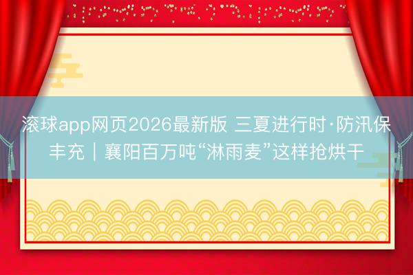 滚球app网页2026最新版 三夏进行时·防汛保丰充|襄阳百万吨“淋雨麦”这样抢烘干
