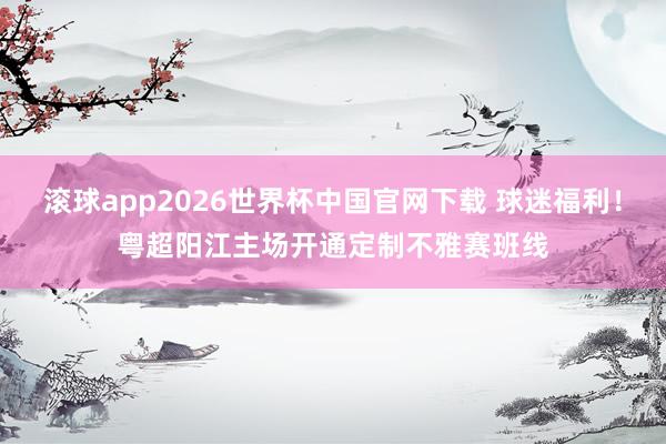 滚球app2026世界杯中国官网下载 球迷福利!粤超阳江主场开通定制不雅赛班线